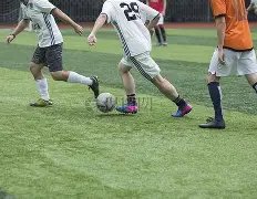 杨小莉泪洒,现场,揭秘,PG,PG官网,PG电子,PG游戏,PG模拟器