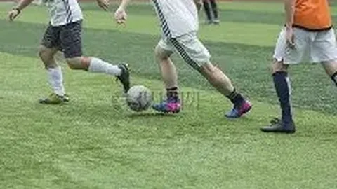 杨小莉泪洒现场，揭秘《小莉帮忙》老人遭狗咬事件全过程及最新动态