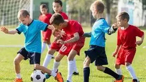 PG电子 产品 101133 2wt